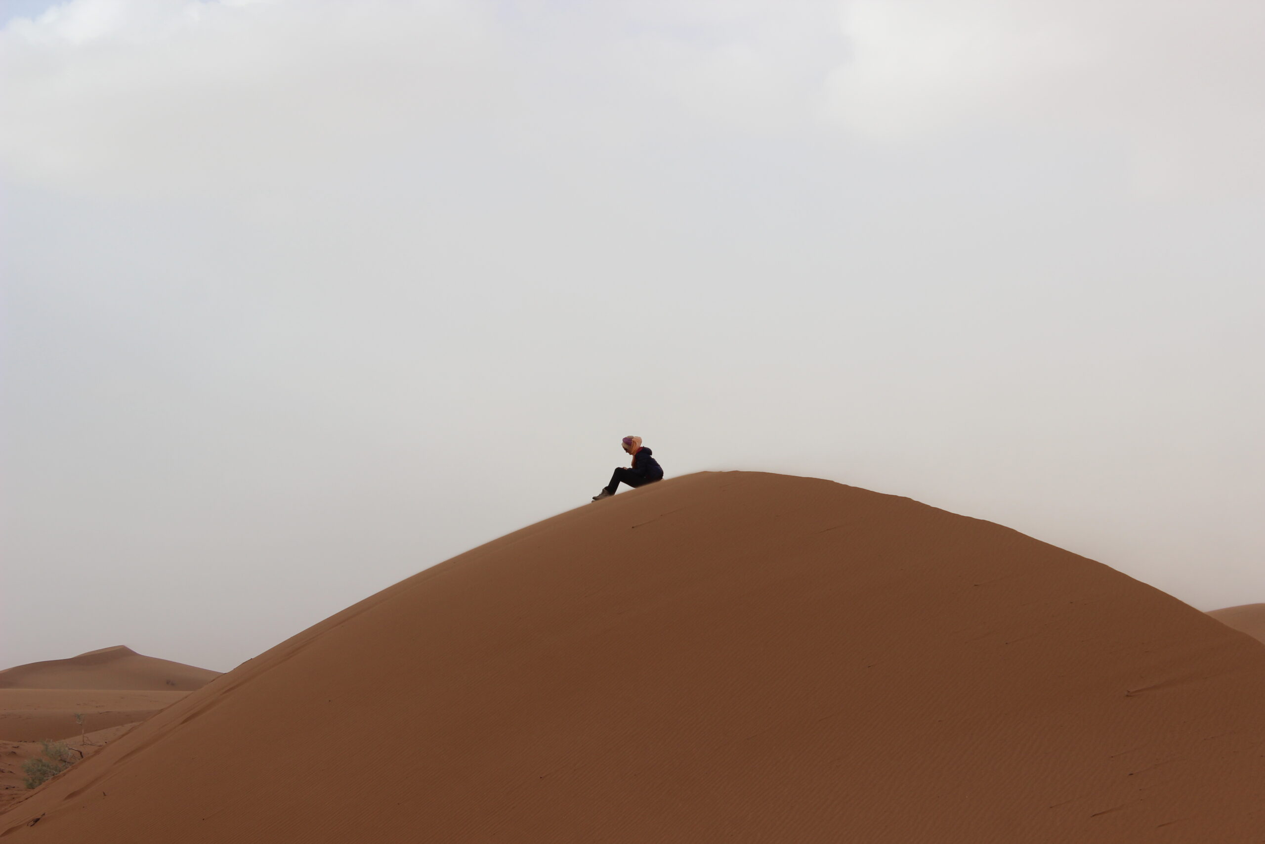 Sahara