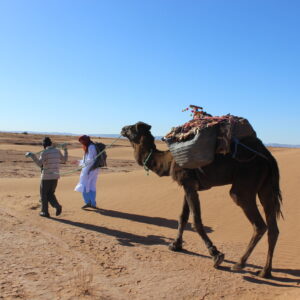 sahara trekking