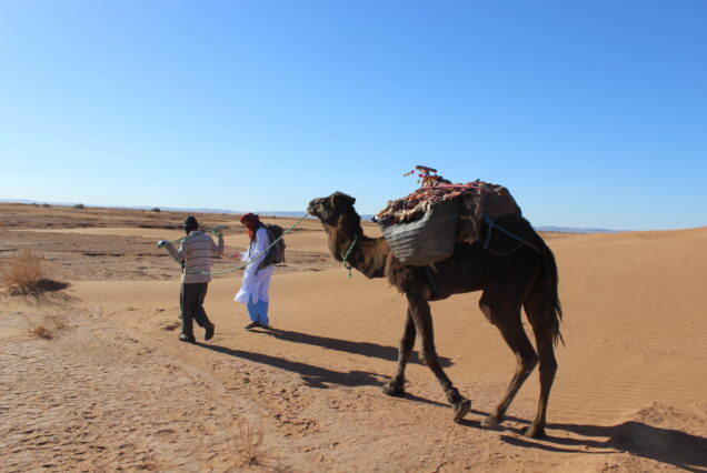 sahara trekking