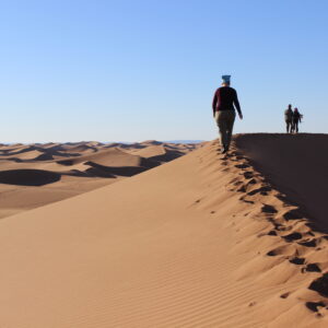 Kamel-Trekking in Marokko