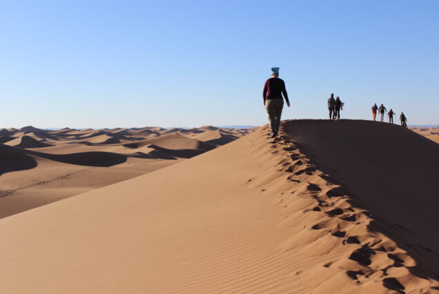 Kamel-Trekking in Marokko